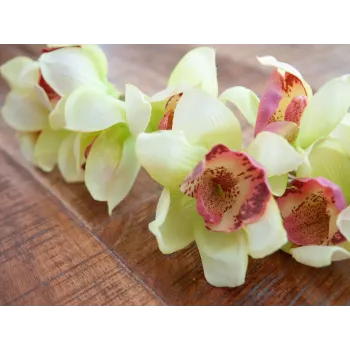 EUROPALMS mākslīgais Cymbidium orhidejas zars, zaļš, 90cm 82530313