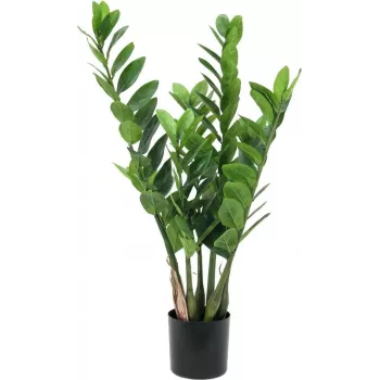 EUROPALMS Zamifolia mākslīgais ZZ augs, 70 cm, melns pods 82600153
