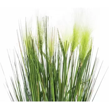 EUROPALMS Feather Grass mākslīgais augs, balts, 60cm 82505864