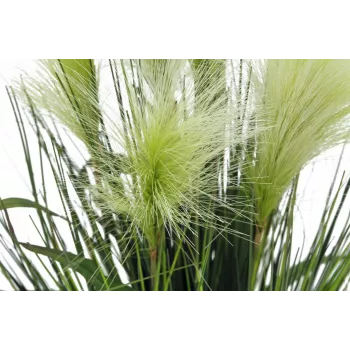 EUROPALMS Feather Grass mākslīgais augs, balts, 60cm 82505864