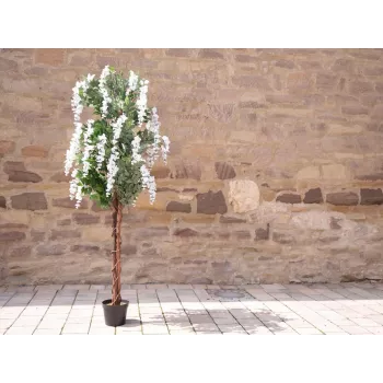 EUROPALMS mākslīgais zelta ķēdes koks, balti ziedi, 180 cm 82507106