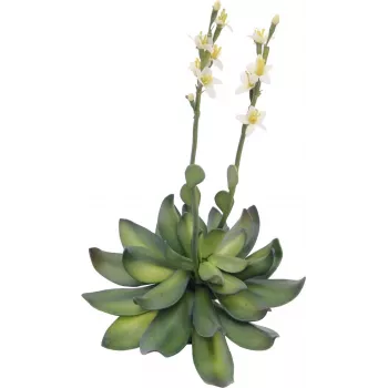 EUROPALMS Stone Rose (EVA) mākslīgais augs, dzeltens, 32cm 82530573