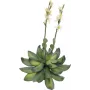 EUROPALMS Stone Rose (EVA) mākslīgais augs, dzeltens, 32cm 82530573