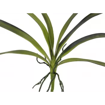 EUROPALMS mākslīgā orhidejas lapa (EVA), zaļa, 45cm 82530574