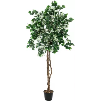 EUROPALMS Bougainvillea mākslīgais augs, balts, 180 cm 82507086