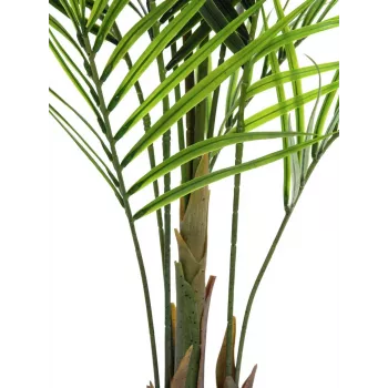 EUROPALMS lielo lapu arekas mākslīgais augs, 165 cm 82509441