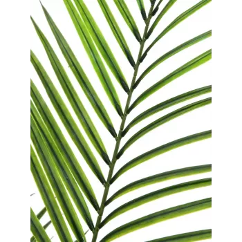 EUROPALMS lielo lapu arekas mākslīgais augs, 165 cm 82509441