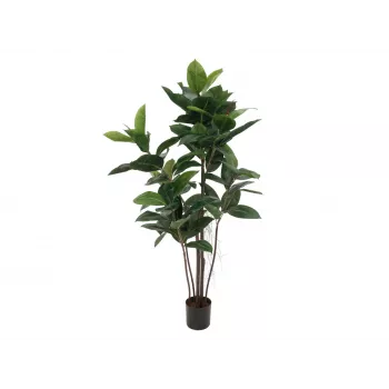 EUROPALMS mākslīgais gumijkoks, 120cm 82600150