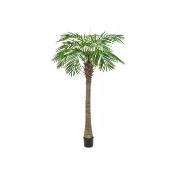 EUROPALMS Phoenix Palm Luxor, mākslīgais augs, 240cm 82510722
