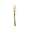 EUROPALMS žāvētu fenheļu pušķis, zelta, 160cm 83502363