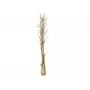 EUROPALMS žāvētu fenheļu pušķis, zelta, 160cm 83502363