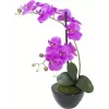 EUROPALMS mākslīgā orhideju kompozīcija 4, baltas Phalaenopsis keramikas podā, 60 cm 82530349