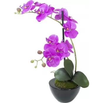 EUROPALMS mākslīgā orhideju kompozīcija 4, baltas Phalaenopsis keramikas podā, 60 cm 82530349