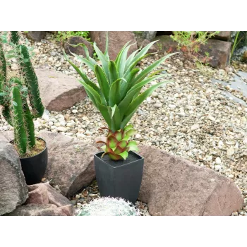 EUROPALMS Agave in Pot, mākslīgais augs, 75cm 82600160