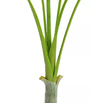EUROPALMS Areca deluxe mākslīgais augs, 180cm 82509443
