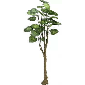 EUROPALMS Pothos Tree mākslīgais augs 175cm 82600163