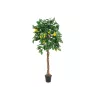 EUROPALMS mākslīgais citronkoks, 180cm 82507816