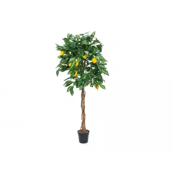 EUROPALMS mākslīgais citronkoks, 180cm 82507816