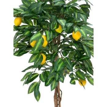 EUROPALMS mākslīgais citronkoks, 180cm 82507816