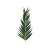 EUROPALMS mākslīgā kokospalmas lapu vīkne, 150 cm 82509845