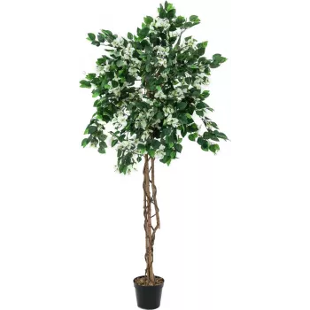 EUROPALMS Bougainvillea mākslīgais augs, balts, 150cm 82507085
