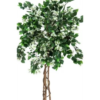 EUROPALMS Bougainvillea mākslīgais augs, balts, 150cm 82507085