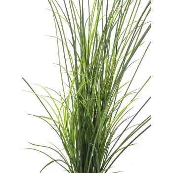 EUROPALMS mākslīgā niedru zāle, 145 cm, zaļa/brūna, iepriekš podā 82600229