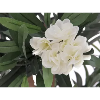 EUROPALMS Oleander koks, mākslīgais augs, balts, 120 cm (82507246)