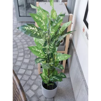 EUROPALMS Dieffenbachia mākslīgais augs 120cm 82508306