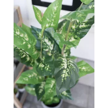 EUROPALMS Dieffenbachia mākslīgais augs 120cm 82508306