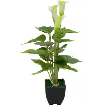 EUROPALMS Calla mini mākslīgā kalādu ziedu augs, balts, 43 cm 82540347