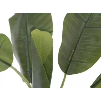 EUROPALMS mākslīgais banānu koks, 100 cm, zaļas lapas, melns pods 82509503