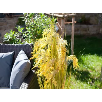 EUROPALMS mākslīgā niedru zāles pušķis, 118 cm 82600136