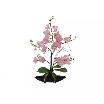 EUROPALMS Orchidu kompozīcija (EVA), mākslīga, purpura (82530339)