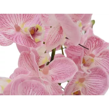 EUROPALMS Orchidu kompozīcija (EVA), mākslīga, purpura (82530339)