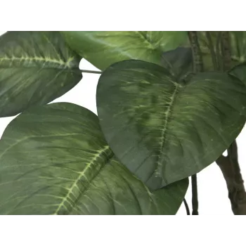 EUROPALMS Pothos mākslīgais koks, 150 cm, zaļas lapas, melns pods 82600162