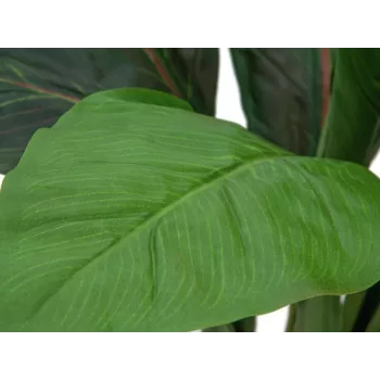 EUROPALMS mākslīgais mangolda krūms, 45 cm, zaļš 82508302