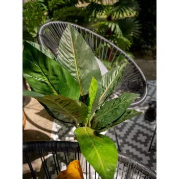 EUROPALMS mākslīgais mangolda krūms, 45 cm, zaļš 82508302