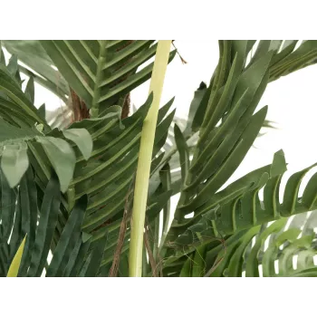 EUROPALMS Kentia palma mākslīgais augs 180cm 82511367
