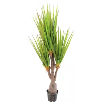 EUROPALMS Sabretooth Agave mākslīgais augs, 185cm 82600030
