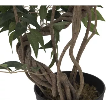 EUROPALMS Ficus Multi Spiral Trunk mākslīgais augs, 130cm 82806314
