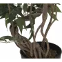 EUROPALMS Ficus Multi Spiral Trunk mākslīgais augs, 130cm 82806314