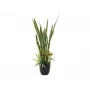 EUROPALMS Succulent Mix mākslīgais augs, 190cm 82600035