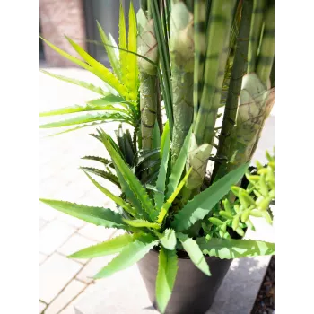 EUROPALMS Succulent Mix mākslīgais augs, 190cm 82600035