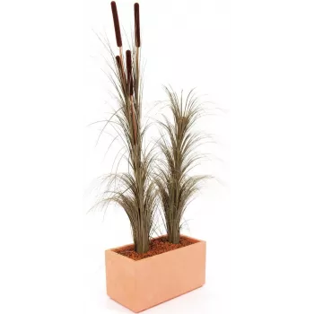 EUROPALMS mākslīgā niedru zāle ar pūkgalvītēm, tumši brūna, 152 cm 82505857