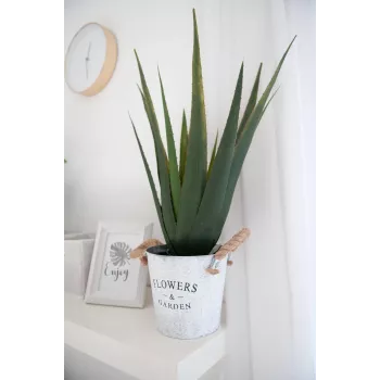 EUROPALMS mākslīgais alvejas augs, 60 cm, melns pods 82600167