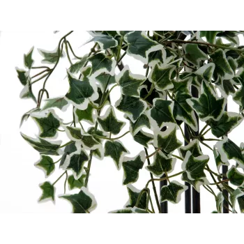 EUROPALMS Holland Ivy Hedge Screen Classic mākslīgais kārtainais žogs, 60cm 82502210