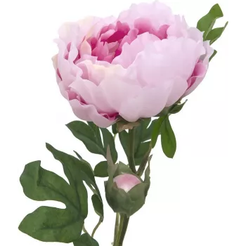 EUROPALMS Peony Branch Classic, mākslīgais augs, rozā, 80cm 82530210