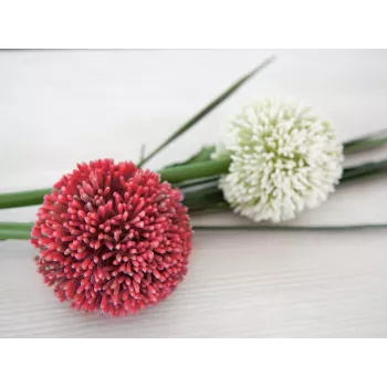 EUROPALMS mākslīgais Allium ziedkāts, sarkans, 55cm 82530568