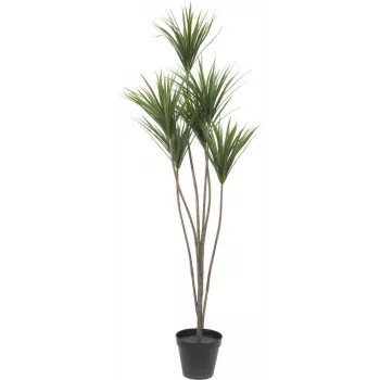EUROPALMS mākslīgā jukas palma, 130cm 82511552